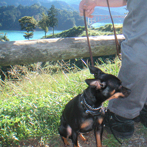 c0012571_1349698.gif