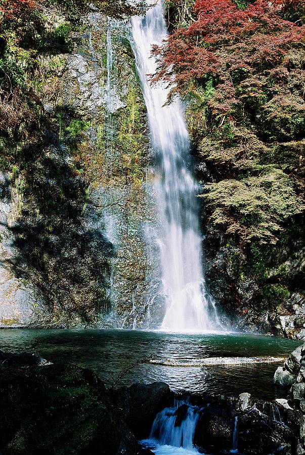 e0002371_23263411.jpg