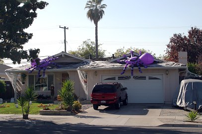 e0032775_1318981.jpg