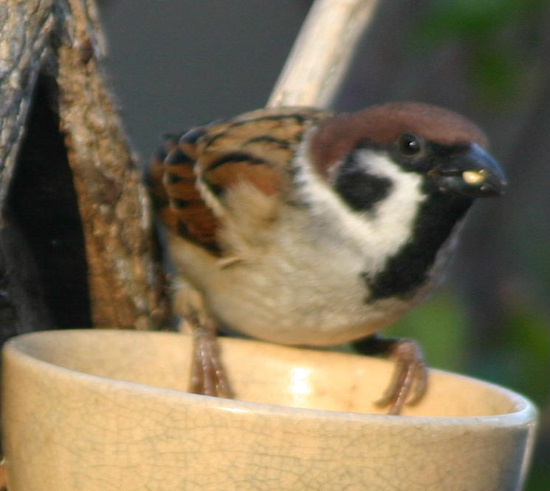 e0018678_23205214.jpg