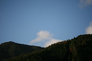 e0024081_917175.jpg