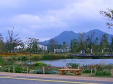 c0073987_23175530.jpg