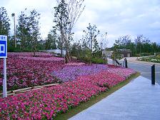 c0073987_23182721.jpg