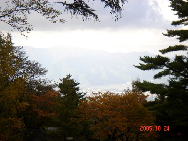a0005691_209231.jpg