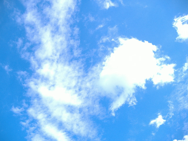 e0026795_23421616.jpg