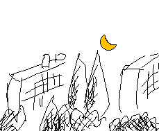 c0056903_1329261.gif