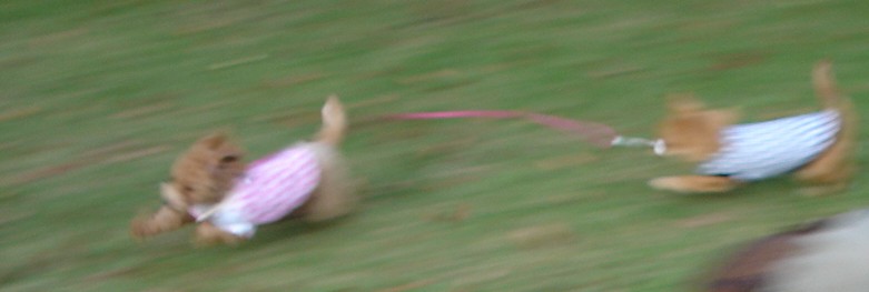 c0041207_21371691.jpg