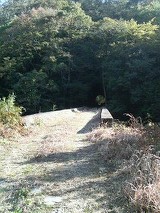 e0001907_103018.jpg