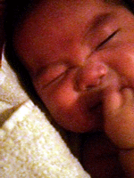 b0026822_122354.gif