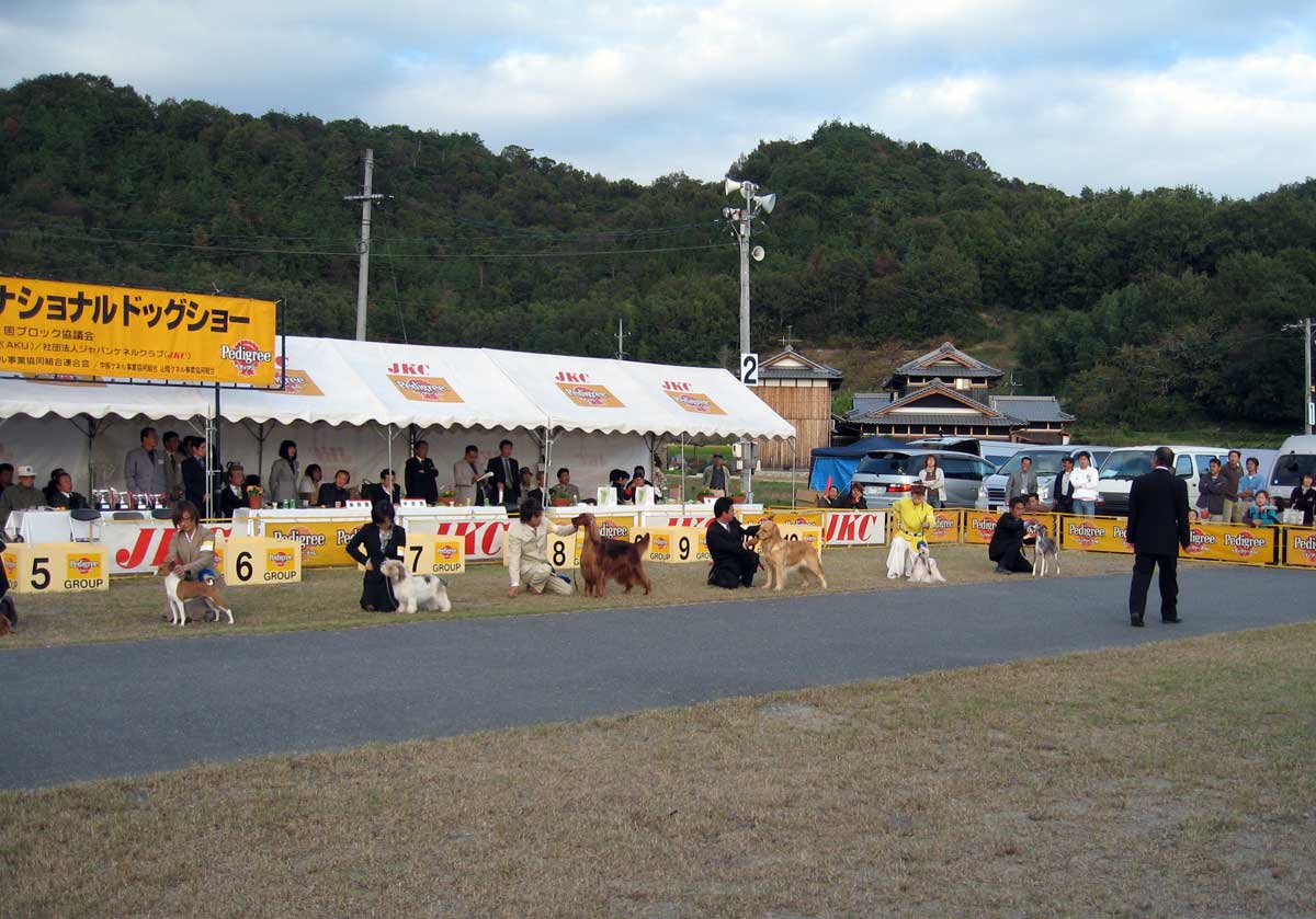 b0066826_16283368.jpg