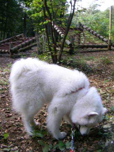 e0006428_1715159.jpg