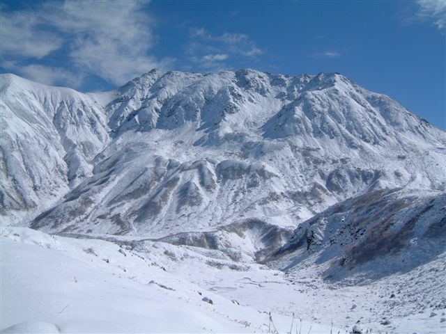 e0010134_815035.jpg