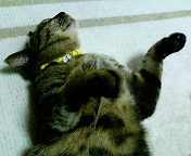 c0025840_1529129.jpg
