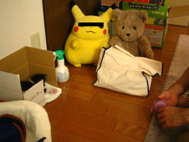 a0050442_075285.jpg