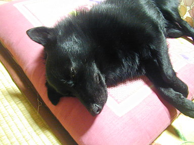 a0009750_1321568.jpg