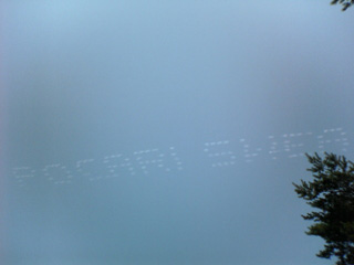 e0074253_10202568.jpg