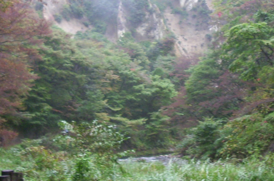 a0029157_1417467.jpg