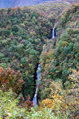 c0050264_13513288.jpg