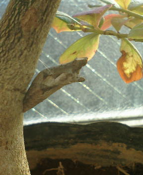 b0009665_031306.jpg