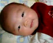 c0066165_1756372.jpg