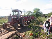 b0043974_136116.jpg