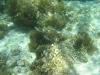 e0030085_21331315.jpg