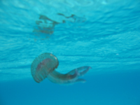 e0030085_2135391.jpg