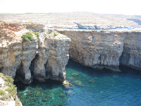 e0030085_21425121.jpg