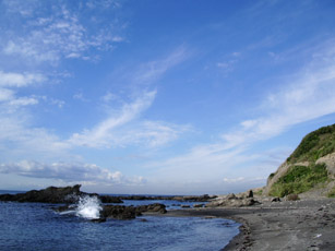 c0035386_1103044.jpg