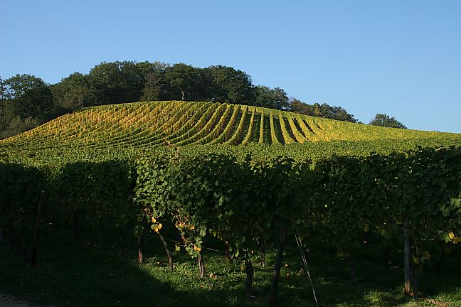 c0023993_855659.jpg
