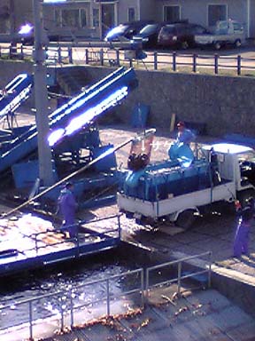 c0068693_1527337.jpg