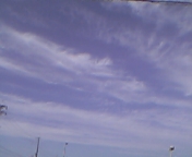 e0025497_1471166.jpg