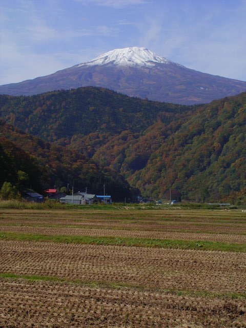 b0050305_2081016.jpg