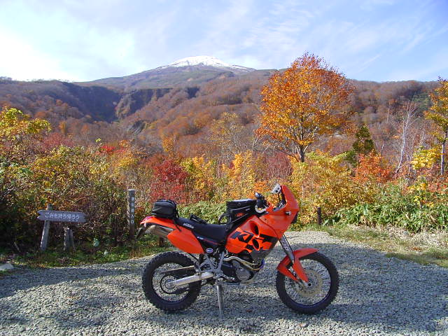 b0050305_2091579.jpg