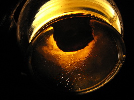 e0087511_0572348.jpg