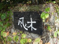 e0090714_15421457.jpg