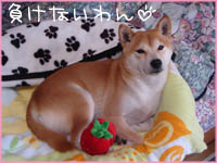c0060620_703770.jpg
