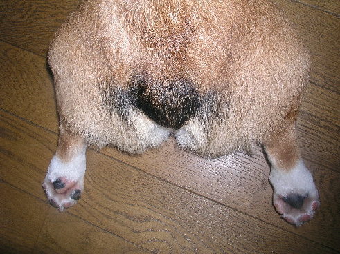 e0071225_2159856.jpg