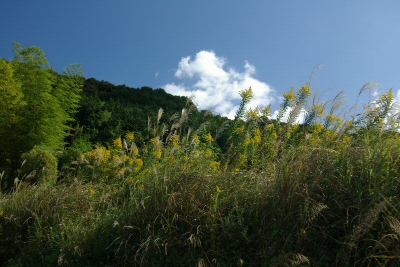 d0032931_0102831.jpg