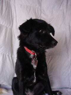 c0065643_15283018.jpg