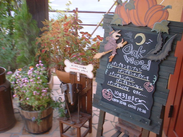 c0071545_1063287.jpg
