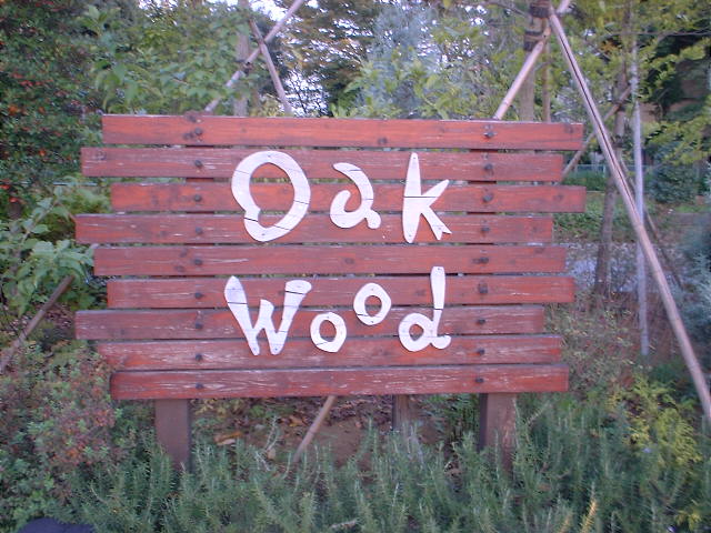 c0071545_9491167.jpg