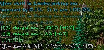 c0022646_3465566.jpg