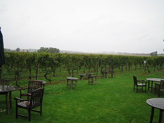 a0040554_1473957.jpg