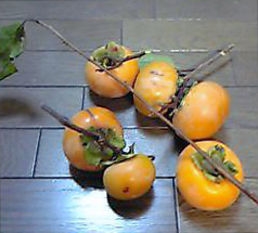 e0038355_18264777.jpg