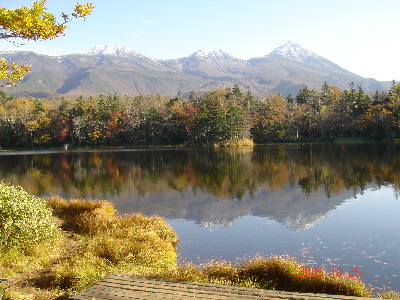 e0091178_112219.jpg