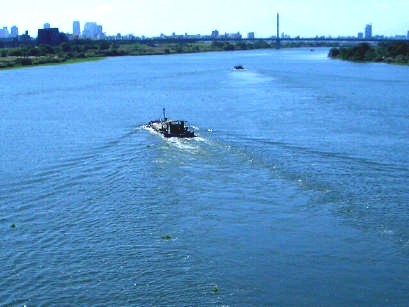 b0002879_016294.jpg