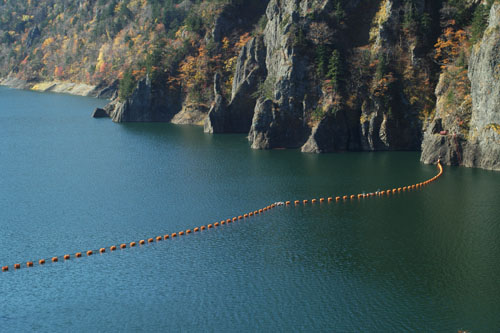 d0034980_21112390.jpg