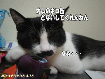 b0041182_12392597.jpg