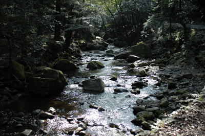 b0061588_1394954.jpg